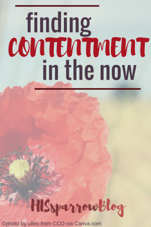 Finding Contentment in the Now | HISsparrowBlog | Christian living, contentment, abundant life, thankfulness