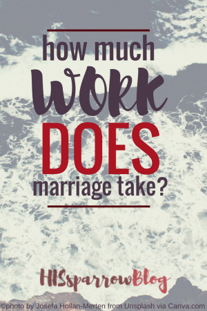 How Much Work Does Marriage Take? | HISsparrowBlog | christian living, love
